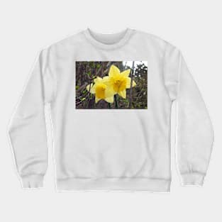 Yellow Daffodils Crewneck Sweatshirt